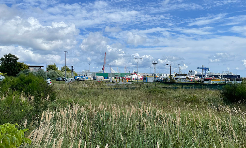 Projekt Neu Mukran, Blick auf Hafen